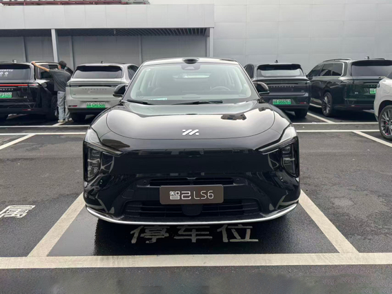 LS6 Extended Range MAX+