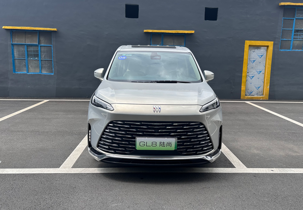 GL8 Lu Shang Exclusive Edition