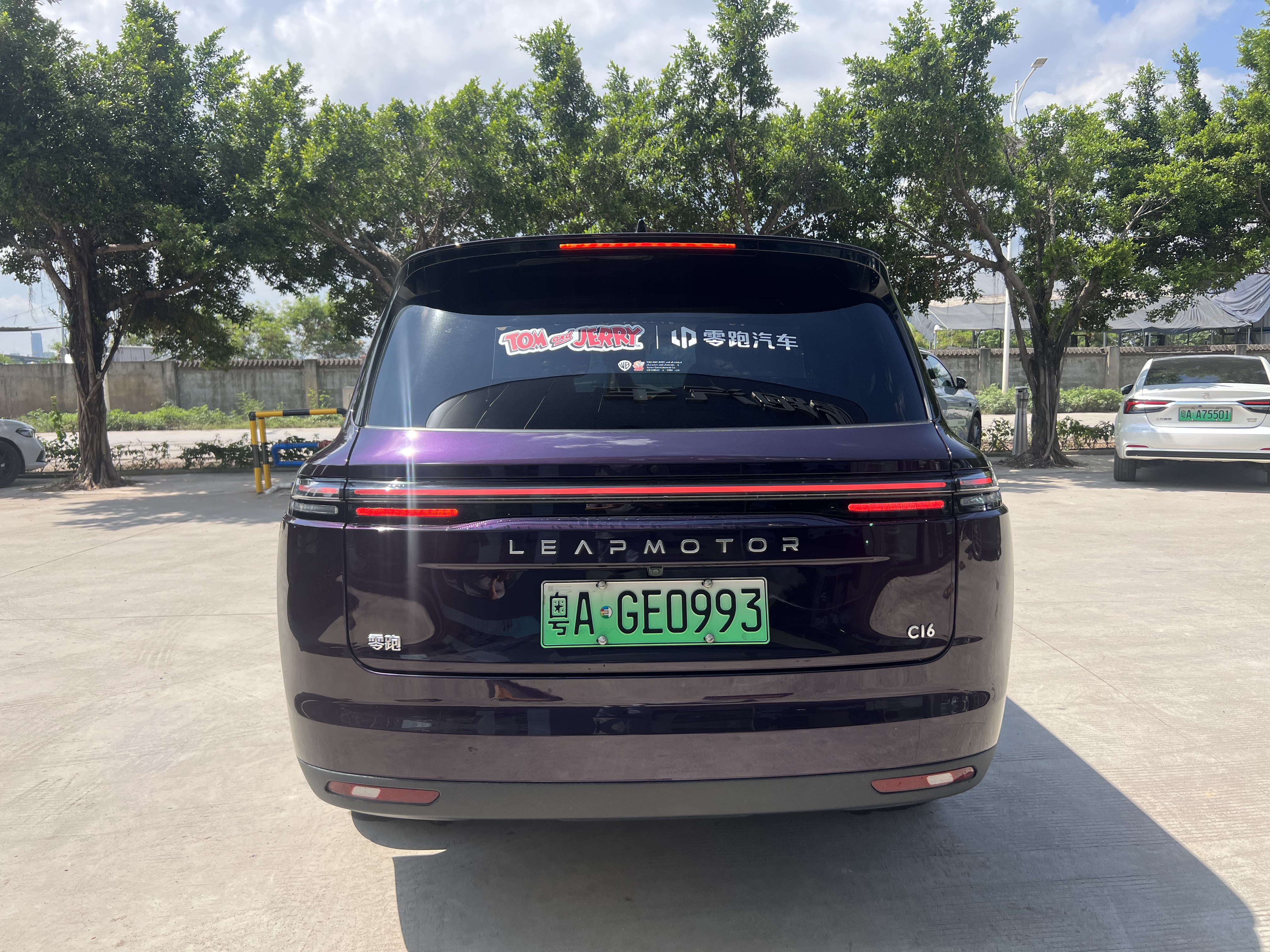 C16 Extended-Range 200 Intelligent Driving Edition + Optional package