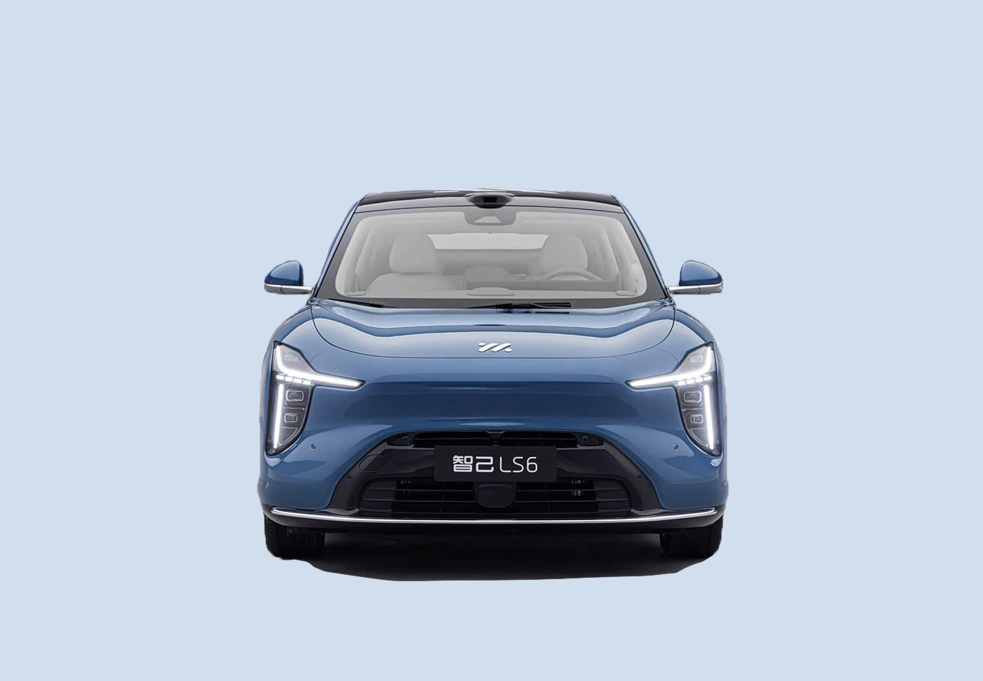 LS6