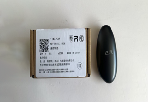 RISING Remote Key