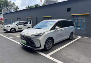 GL8 Lu Shang Exclusive Edition