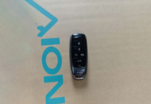 AION Smart Key